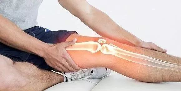 Bioceramic materials