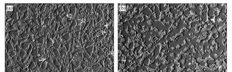 SEM images of SiC/Al composite materials prepared with powdered SiC as the framework and SiC/Al composite materials prepared with three-dimensional continuous porous SiC as the framework.
